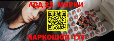 PSILOCYBIN Гатчина
