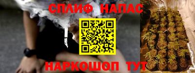 ешки Гай