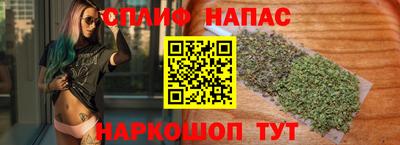 PSILOCYBIN Гатчина