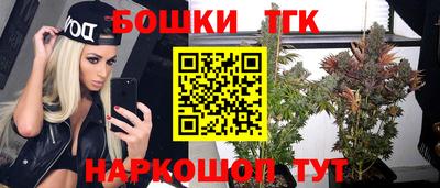 PSILOCYBIN Гатчина