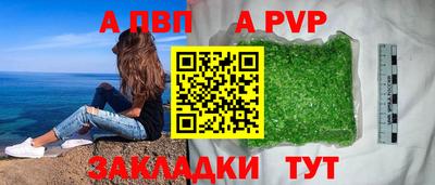 ешки Гай